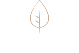 Shohag Logo
